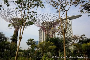 GARDENS BY THE BAY SINGAPORE