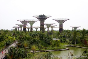 GARDENS BY THE BAY SINGAPORE