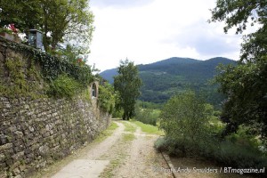 LA SORGENTE DI FRANCESCA FIESOLE