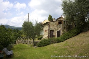 LA SORGENTE DI FRANCESCA FIESOLE